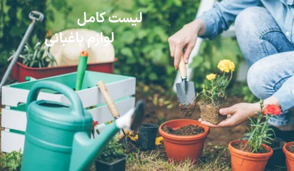 Wp Header Logo 2532.png