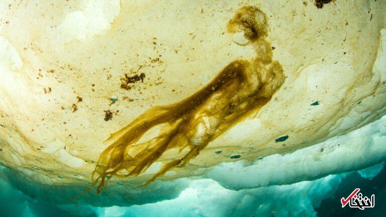 Wp Header Logo 1026.png