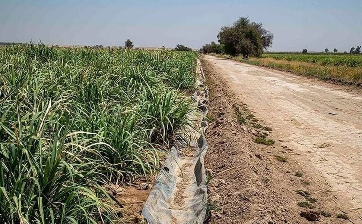 Wp Header Logo 1057.png