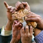 وزارت بهداشت: نیمی از جمعیت کشور، چهار گروه اصلی غذا را به میزان ناکافی دریافت می‌کنند/ میزان مصرف گوشت در روز برای هر فرد، کمتر از ۵۰ گرم شده