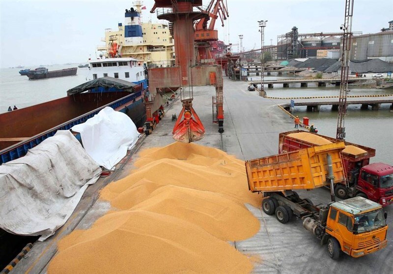 Wp Header Logo 36.png