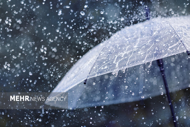 Wp Header Logo 1534.png