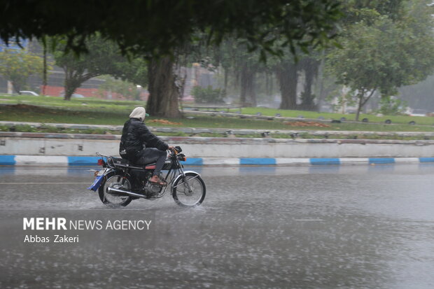 Wp Header Logo 1946.png